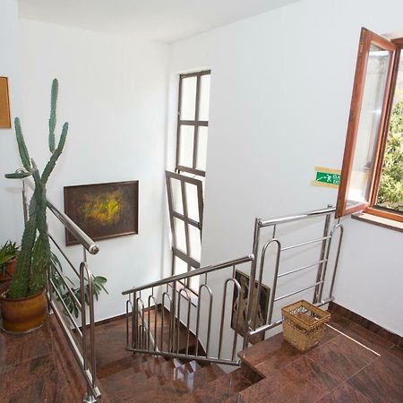 Apartments Mihic Makarska Eksteriør billede